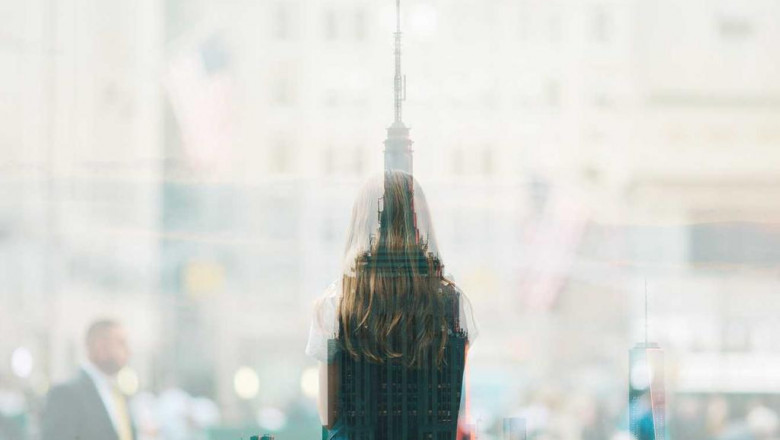 keeping hamsters as pets care info