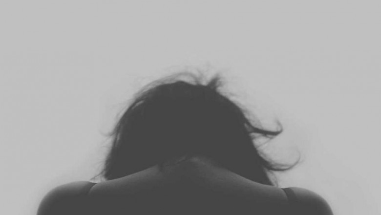 keeping hamsters as pets care information