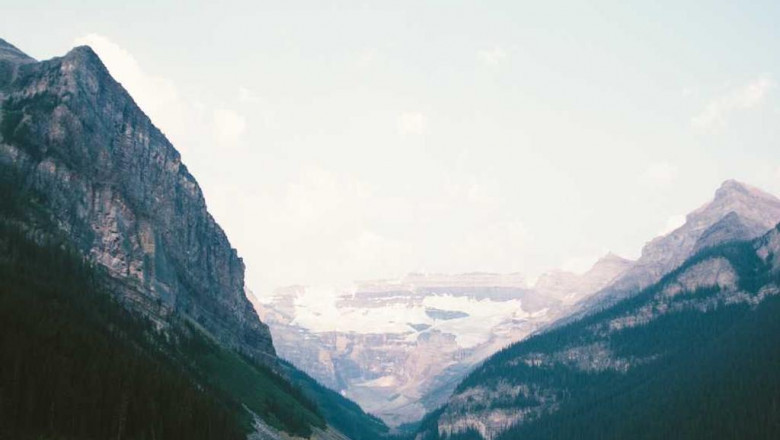 kiedy kopcowac warzywa