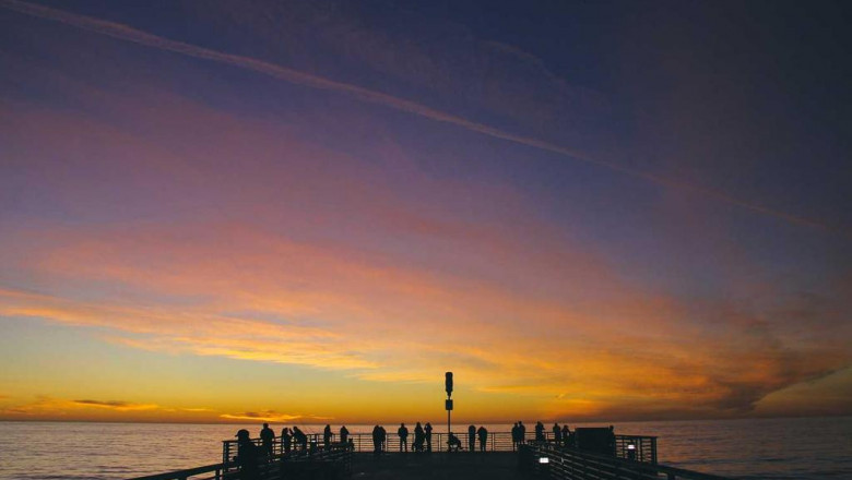 meet the steve jobs of the hemp distillate prices industry