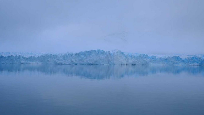 myogrodzenia dzwiekochlonne pochlaniajace halas super blog 8165