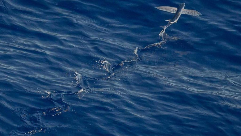 painting contractors explained in instagram photos