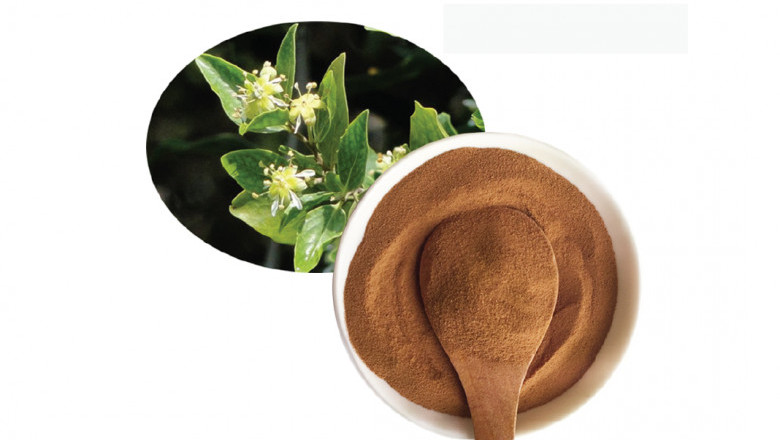 Quillaia Extract Market Share, Revenue and Growth Analysis Report Till 2028 | Value Market Research