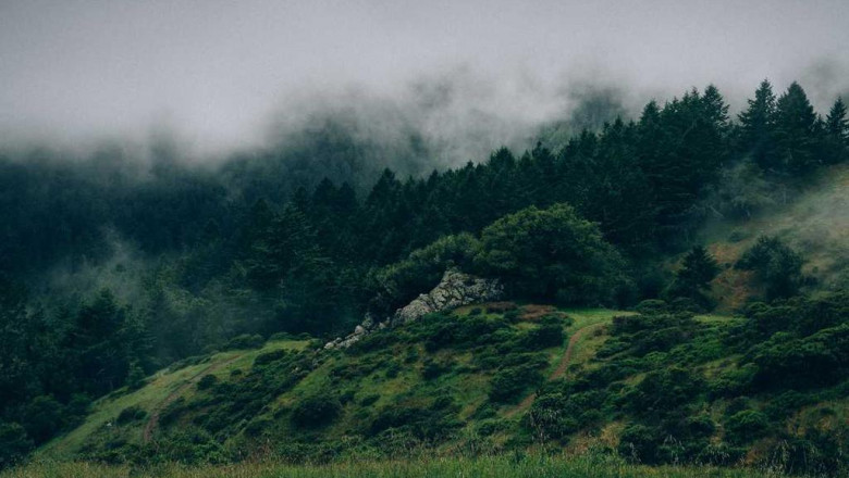 the advanced guide to wholesale thc distillate