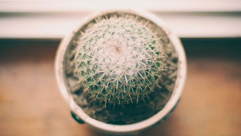 the biggest trends in movers sacramento weve seen this year