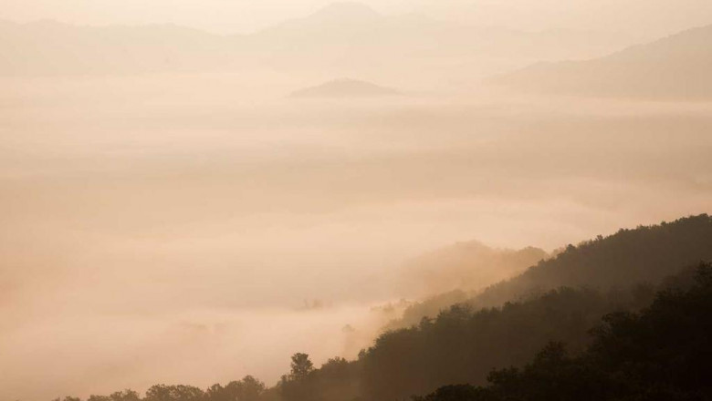 the most common complaints about thc0 acetate and why theyre bunk