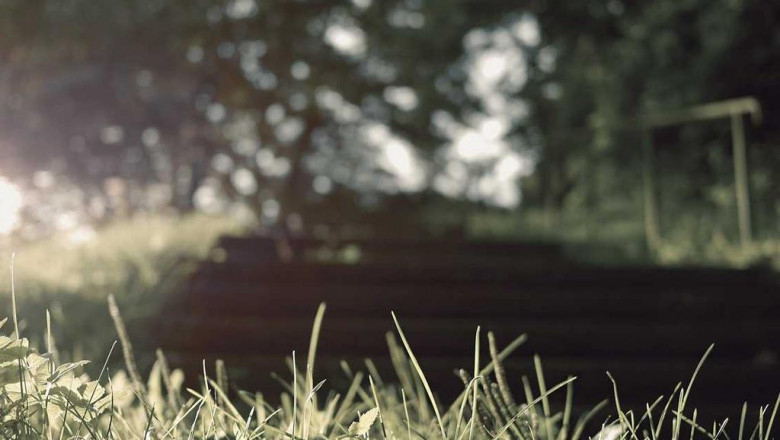 the pros and cons of cbd topicals