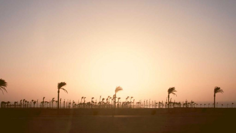 this weeks top stories about recipe