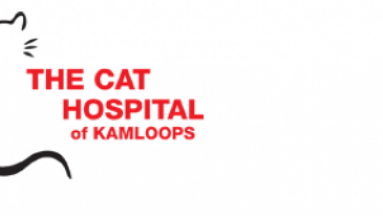 Tips in Preparing for Your Pet’s First Vet Visit