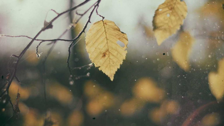 top dia chi cung cap yeu thiet ke tot nhat