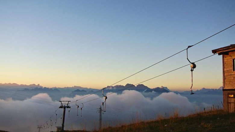 what exactly are magic mushrooms why they are popular in british columbia