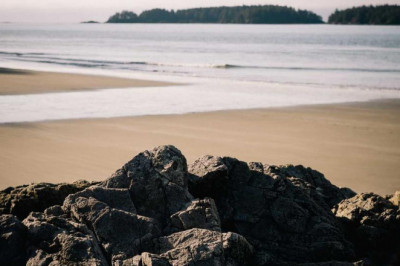 12 helpful tips for doing local moving company columbia