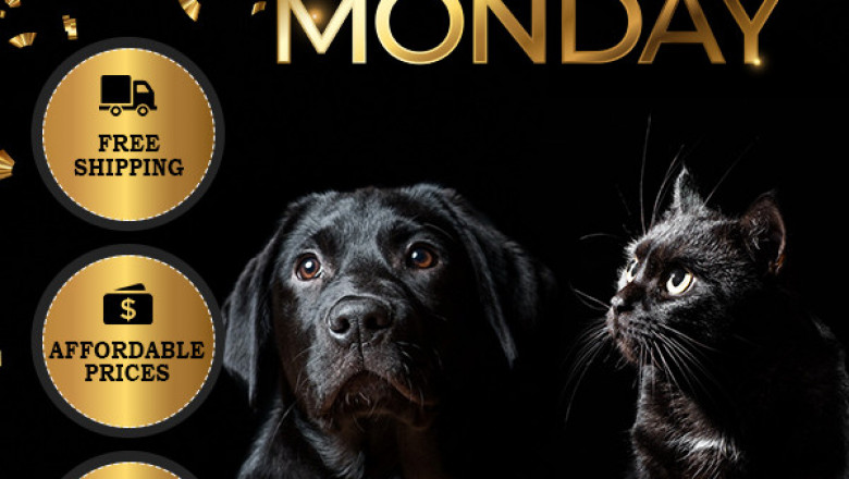 Cyber Monday is here to provide the best treatments for your pet's diseases at a pocket-friendly prices.