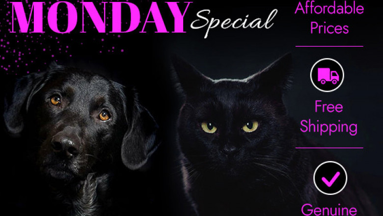 Cyber Monday sale is here- BargainPetProducts