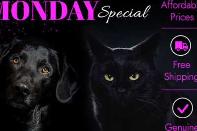 Cyber Monday sale is here- BargainPetProducts