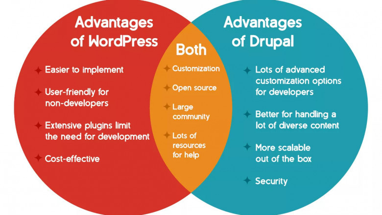 Drupal or WordPress? 4 Tips to choose the best CMS for your business website in 2023