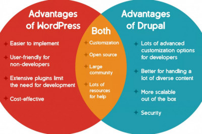 Drupal or WordPress? 4 Tips to choose the best CMS for your business website in 2023
