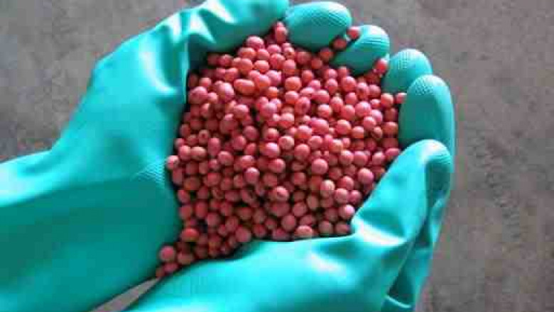 Global Insecticide Seed Treatment Market Share, Size, Trends, Growth and Forecast