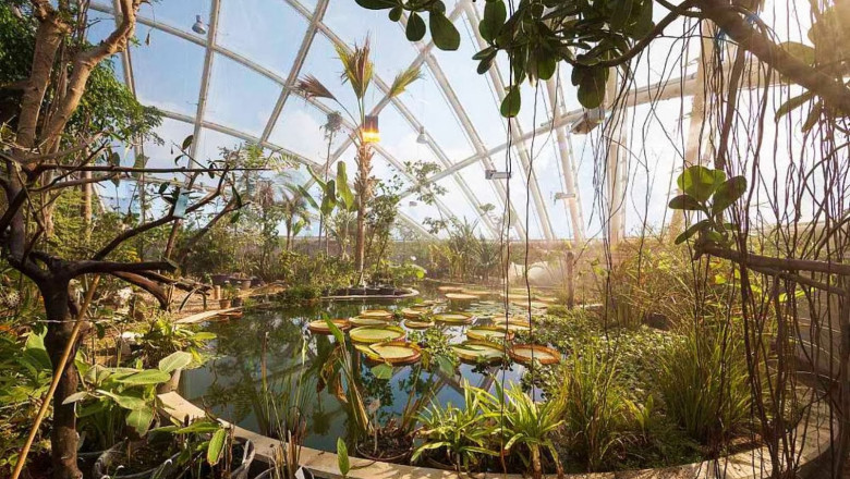 greenhouse Australia