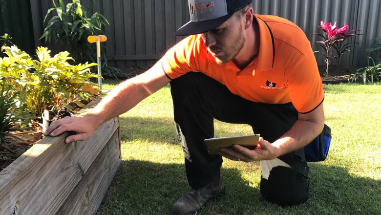 How can Pest Control enhance the look and functionality of your home?