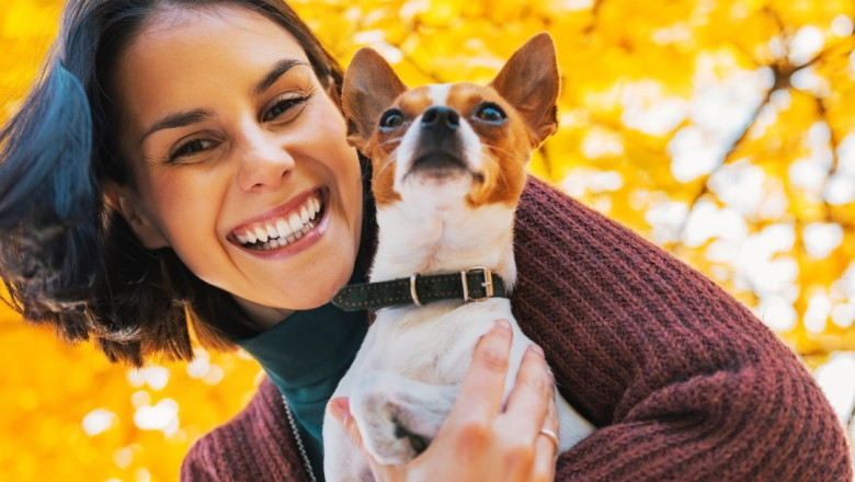 Learn how to get emotional support animal in Illinois