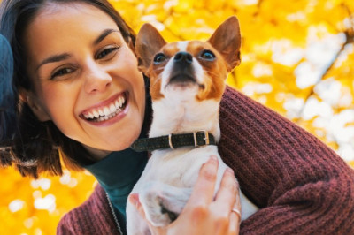 Learn how to get emotional support animal in Illinois