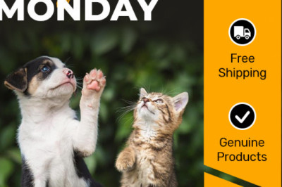 Money-saving offers on your favourite petcare products in this Cyber Monday Sale