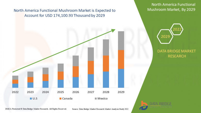 North America Functional Mushroom Market Business Opportunities