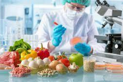 Food Safety Testing Market Volume Prediction by 2030