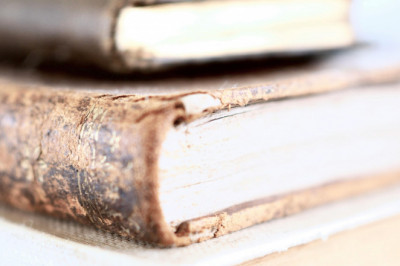 The Importance of Emotional Intelligence in Academic Achievement