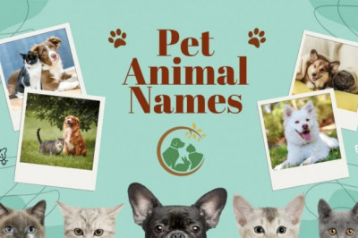 Top 1,200+  Trending Animal Names in 2025