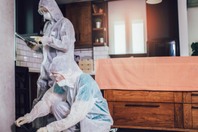 How Weather Changes Drive Rodent Infestations in Canadian Homes