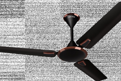 Top Ceiling Fan Trends for Modern Homes