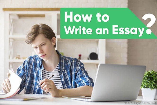 Acemyhomework Writers