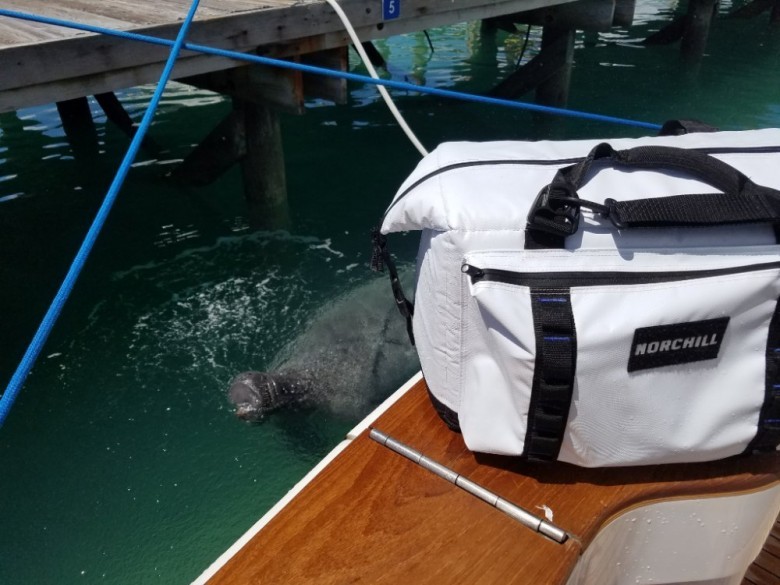 Boat Coolers