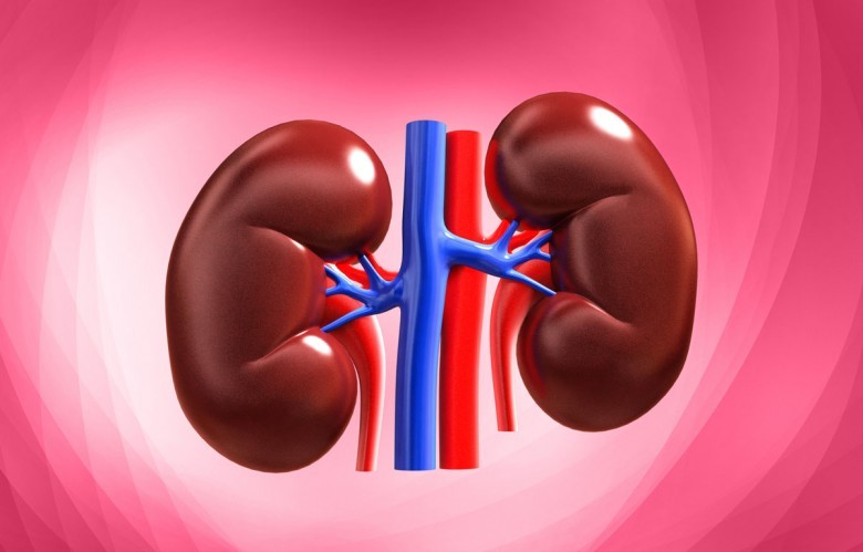 Dialysis Market