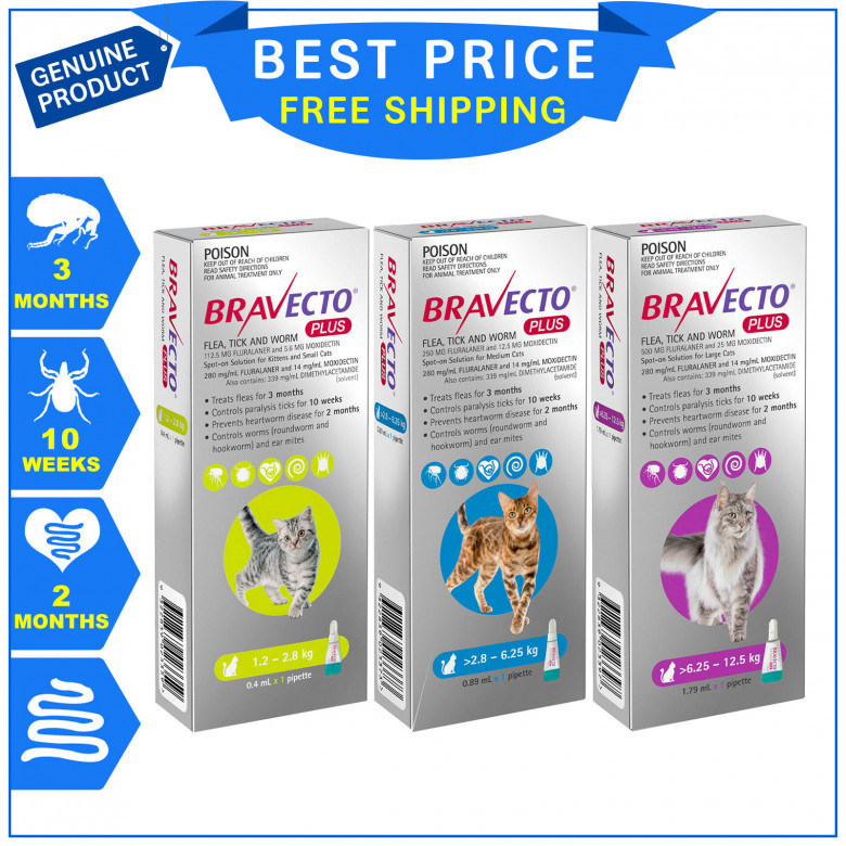 Bravecto-Plus-For-Cats-Flea-Tick-and-Worm-Treatment.jpg
