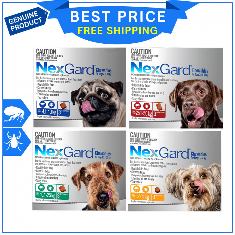 NexGard-Monthly-3-Chews-Flea-Tick-Prevention-for-Dogs.jpg