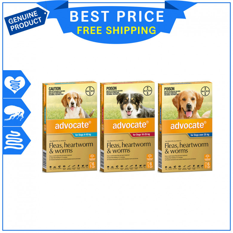 ADVOCATE-for-Dogs-6-Pipettes-Flea-Heartworm-and-Worm-Prevention.jpg