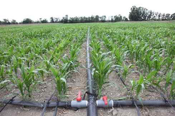 Payal Valve - PP Ball Valve, Solid Ball Valve, Agricultural Valve Manufacturers