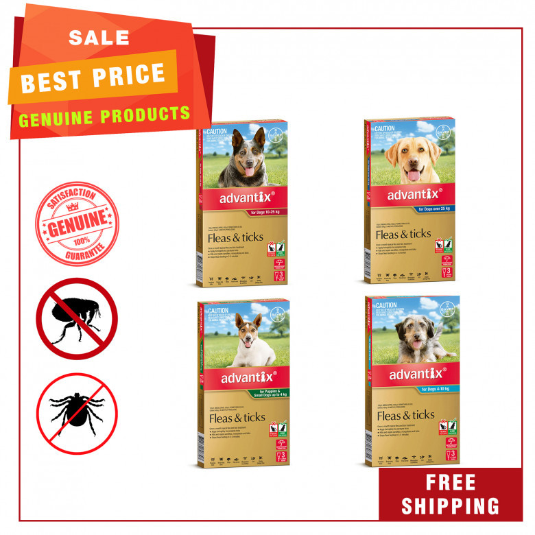 Advantix-is-the-perfect-flea-and-tick-prevention-3-chews-for-Dogs.jpg