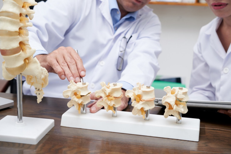 Chiropractors Online Leads data