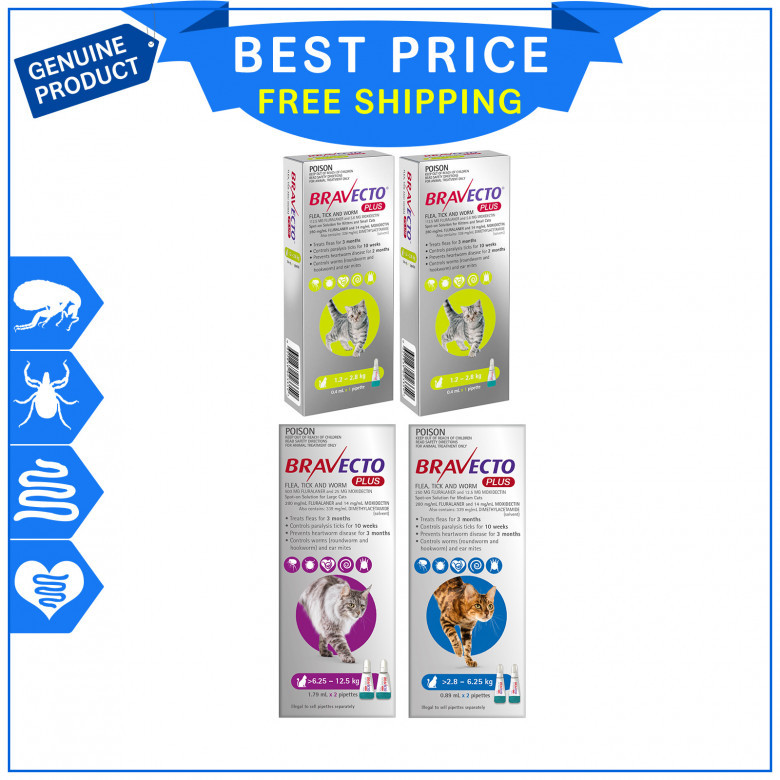 Buy-Bravecto-Plus-and-Protect-your-cats-from-Fleas-and-Worms-for-6-Months.jpg