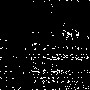 nycarriagecompany