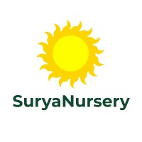suryanursery