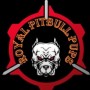 pitbullpups