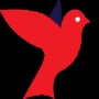 Edubird123