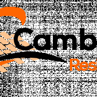 cambridgeresinstone