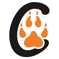 BigCatsIndia