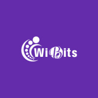 wibitswebsolutions